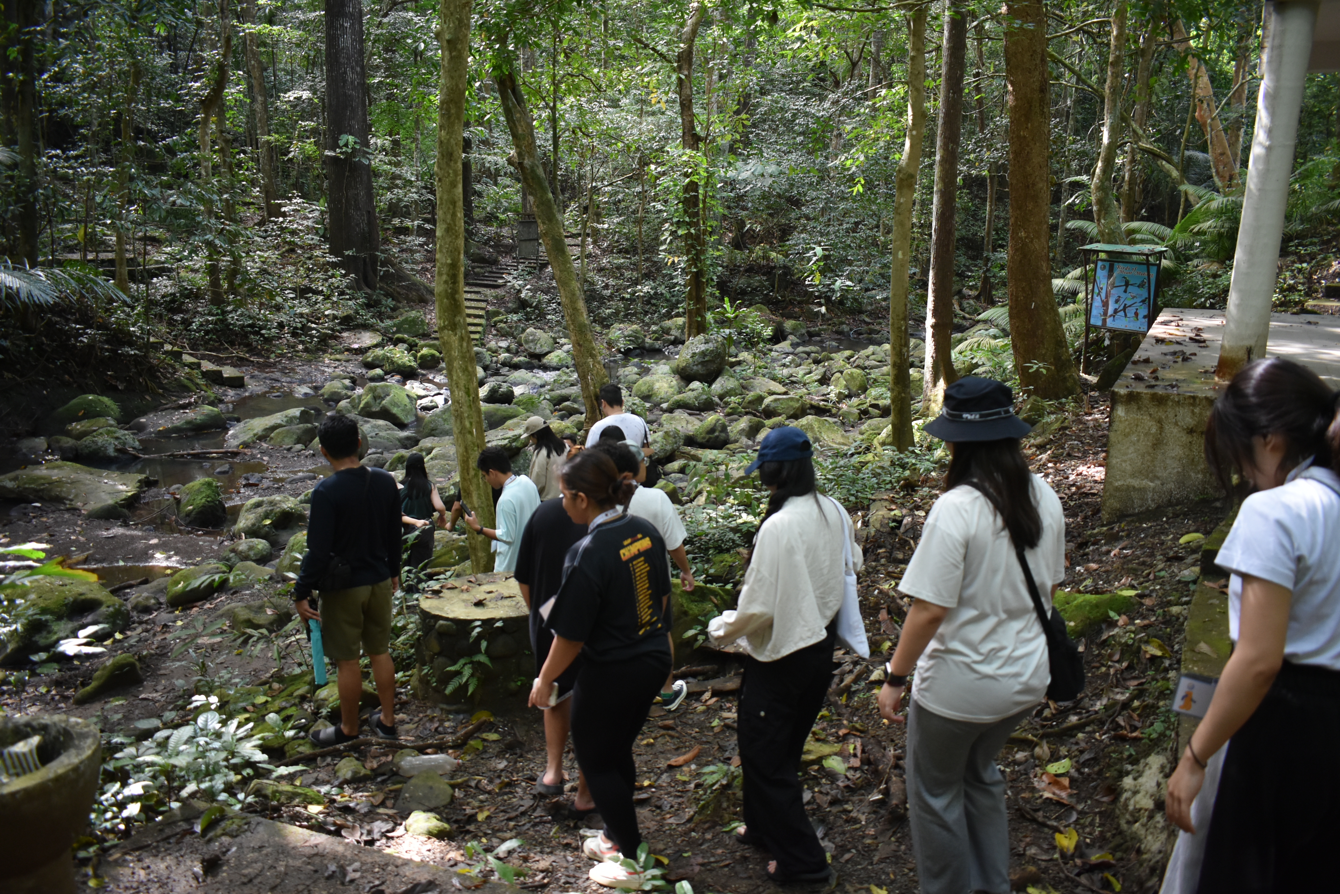 Person using binoculars to observe birds